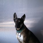 The Best Way To Reheat Leftovers Without Losing Texture