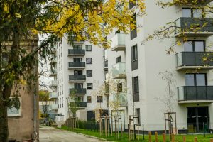 Why Community Gardens Enhance Local Residential Property Values Significantly