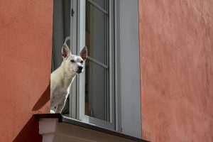 Exploring The Tax Implications Of Selling Your Primary Home