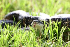 Exploring The World Of Microtonal Music And Non-Western Scales