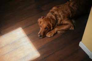 Why Patience Is The Best Tool For Any Shopper