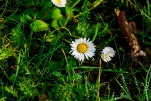 Simple Ways to Make Law Relevant