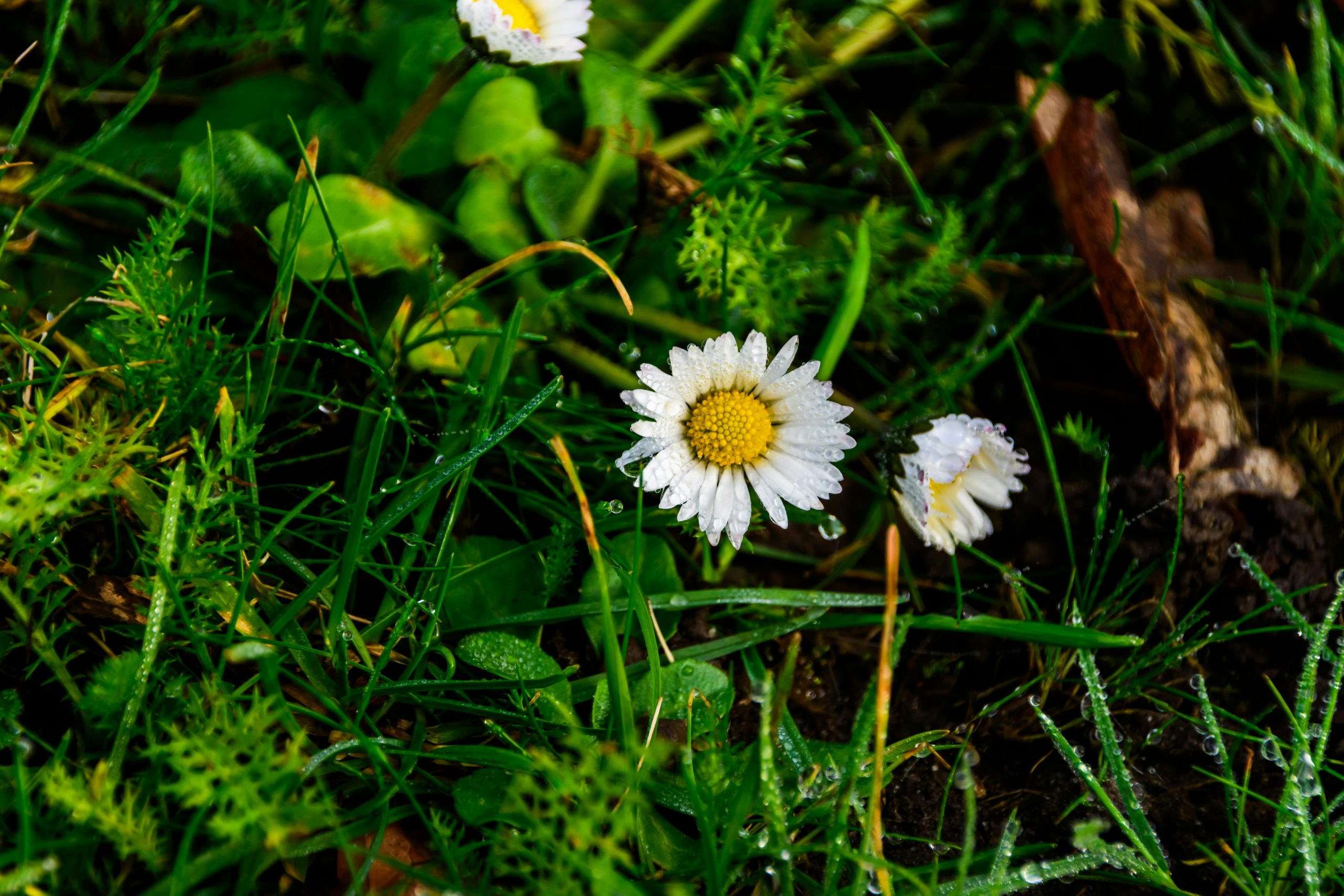 Simple Ways to Make Law Relevant