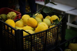 The Benefits Of Shopping At Farmers Markets Every Weekend