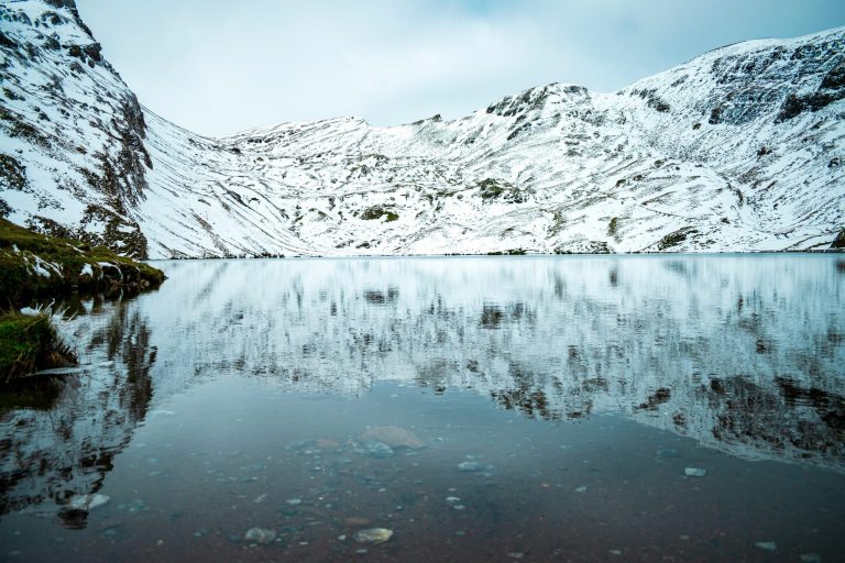 Mastering The Art Of Making Clear And Pure Ice
